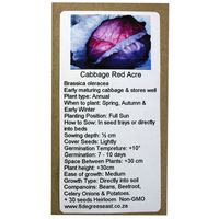 6 Degrees East Heirloom Veg Seeds - Cabbage - Red Acre